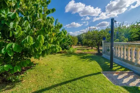 Can Rius, villa 250 m² piscine à Muro : photo 38