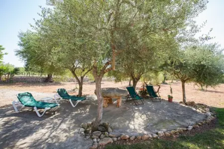 Villa Can Marines avec piscine 9x4,5m à Santanyi : photo 37