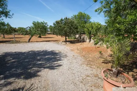 Villa Can Marines avec piscine 9x4,5m à Santanyi : photo 39