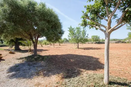 Villa Can Marines avec piscine 9x4,5m à Santanyi : photo 40