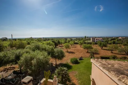 Villa Can Marines avec piscine 9x4,5m à Santanyi : photo 41