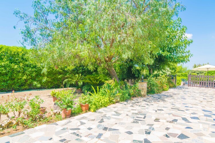 Villa Fernando à Manacor : piscine et jardin - Photo 47