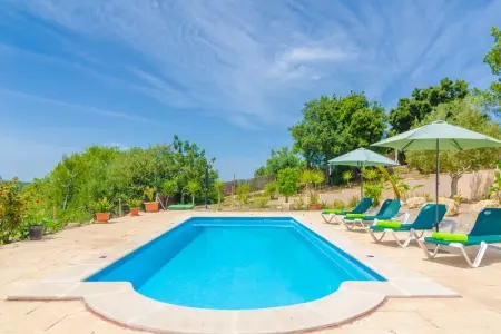 Villa Son Morey, piscine saline et terrasses à Vilafranca : photo 7