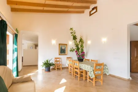 Villa Son Morey, piscine saline et terrasses à Vilafranca : photo 12