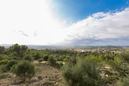 Villa Son Morey, piscine saline et terrasses à Vilafranca : photo 35