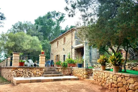 Villa Sa Tarongera – Piscine 10×5m à Andratx : photo 6