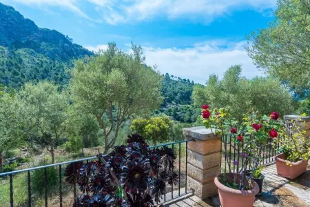 Villa Sa Tarongera – Piscine 10×5m à Andratx : photo 42