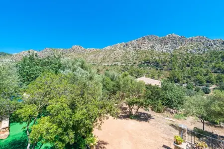 Villa Sa Tarongera – Piscine 10×5m à Andratx : photo 46