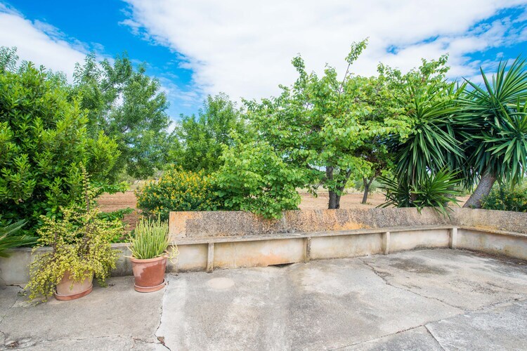 Villa S'alqueria à Campanet, piscine privée et verger - Photo 40
