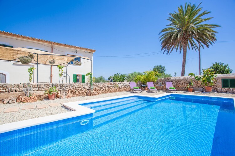 Villa Sa Vinyota à Llubi : piscine et animaux - Photo 7