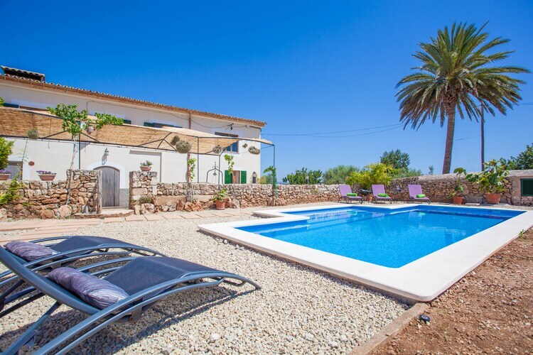 Villa Sa Vinyota à Llubi : piscine et animaux - Photo 8