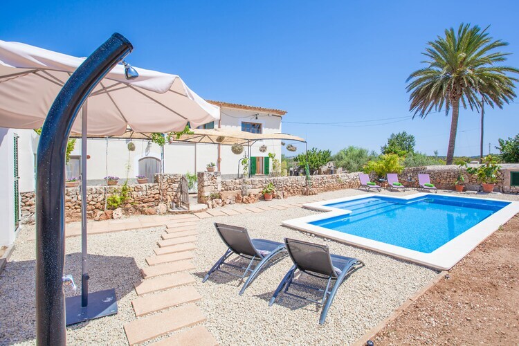 Villa Sa Vinyota à Llubi : piscine et animaux - Photo 9