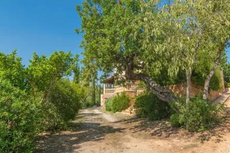 Villa Es Garroveral 3 - Piscine eau salée et vues Tramuntana : photo 46