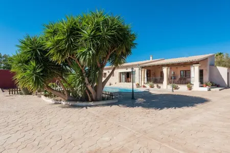 Villa Es Blanquer De Na Fani à Binissalem : photo 7