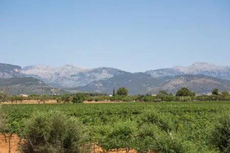 Villa Es Blanquer De Na Fani à Binissalem : photo 8