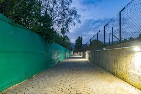 Villa Es Blanquer De Na Fani à Binissalem : photo 11