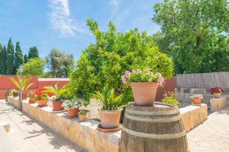 Villa Es Blanquer De Na Fani à Binissalem : photo 56