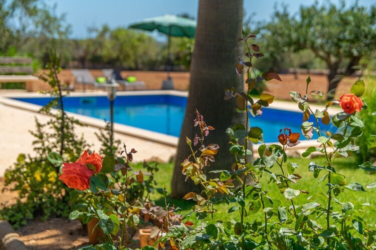 Villa Es Coco De Sa Mola avec piscine à Santanyí - Photo 31