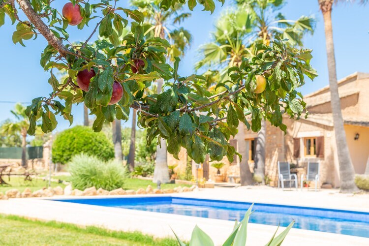 Villa Es Coco De Sa Mola avec piscine à Santanyí - Photo 32