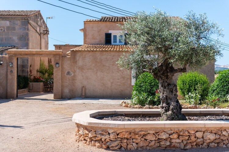 Villa Ses Barreres à Campos : piscine privée 8x4m - Photo 13