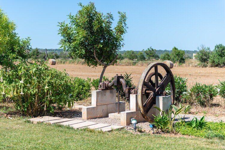 Villa Ses Barreres à Campos : piscine privée 8x4m - Photo 50