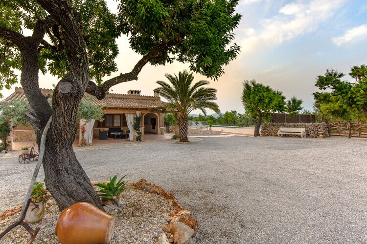 Villa Son Morro à Santa Margalida, piscine privée - Photo 7