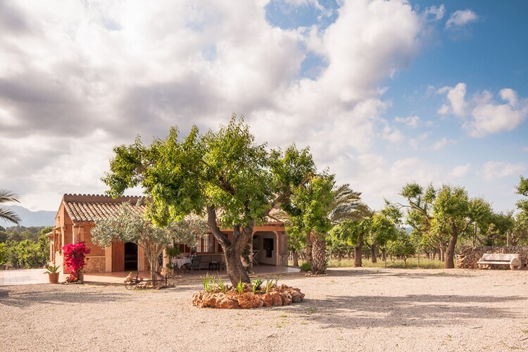 Villa Son Morro à Santa Margalida, piscine privée - Photo 8