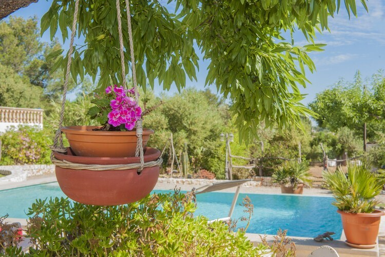 Finca Son Matginet – Villa 6 pers., piscine eau salée à Sineu - Photo 38