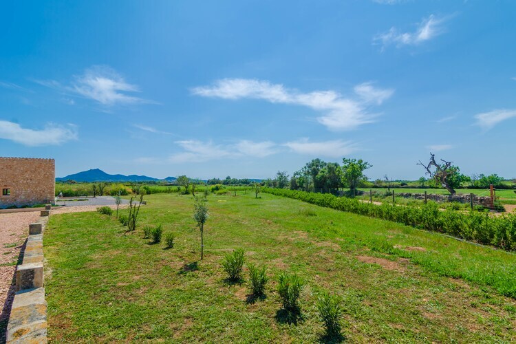 Can Gusti – Villa 8 pers. piscine privée Manacor - Photo 33