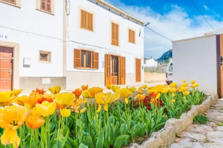Location appartement à Colònia De Sant Pere (artà), Illes Balears