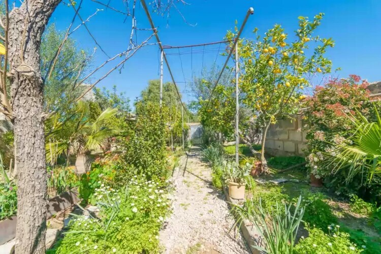 Villa Construcciones Balaguer à Mancor de la Vall - Photo 30