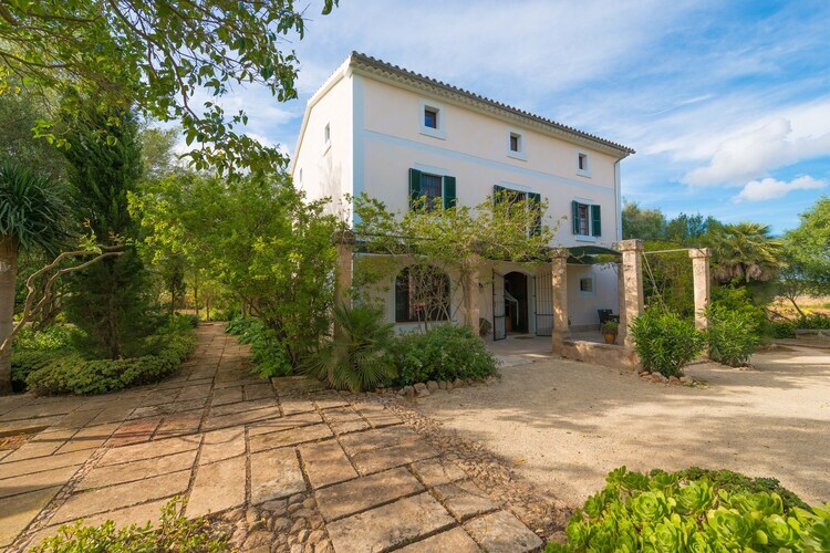 Villa Cas Pilot : piscine sel et terrasse à Santa Maria - Photo 6
