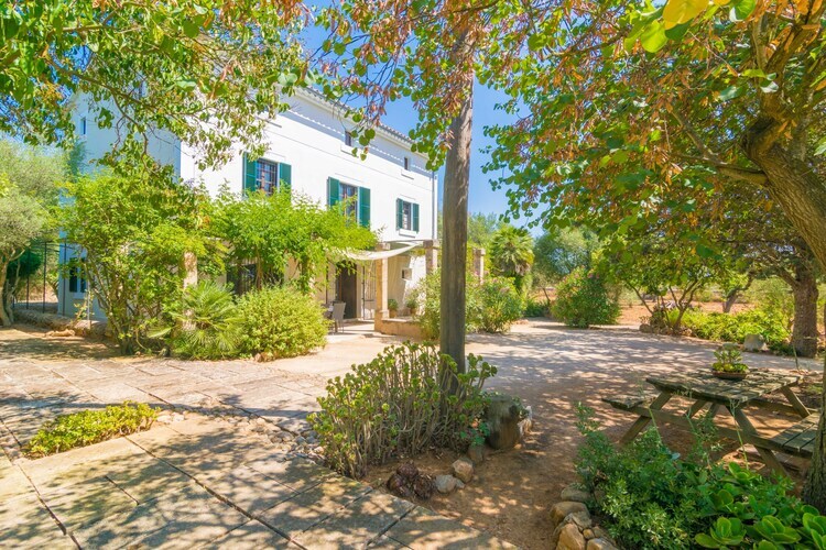 Villa Cas Pilot : piscine sel et terrasse à Santa Maria - Photo 7