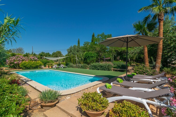 Villa Cas Pilot : piscine sel et terrasse à Santa Maria - Photo 12