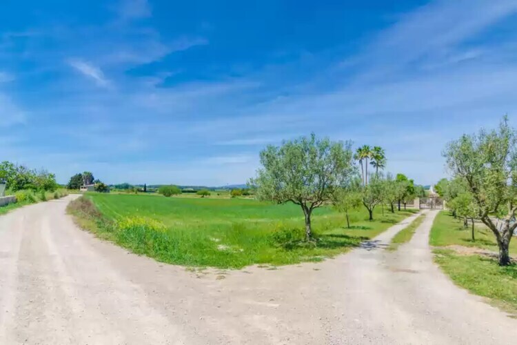 Villa Son Vanrell - Piscine 12x5m, Cœur Mallorca - Photo 31
