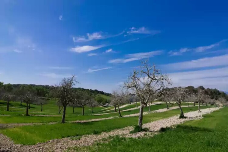 Villa Son Vanrell - Piscine 12x5m, Cœur Mallorca - Photo 32