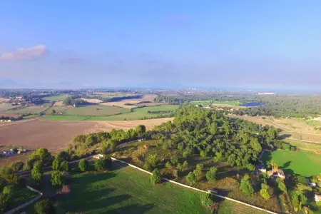 Villa Son Vador, piscine et campagne près de Santa Margalida : photo 38