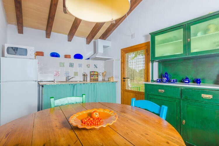 Villa Son Sabater : piscine et jardin à Sa Pobla - Photo 16