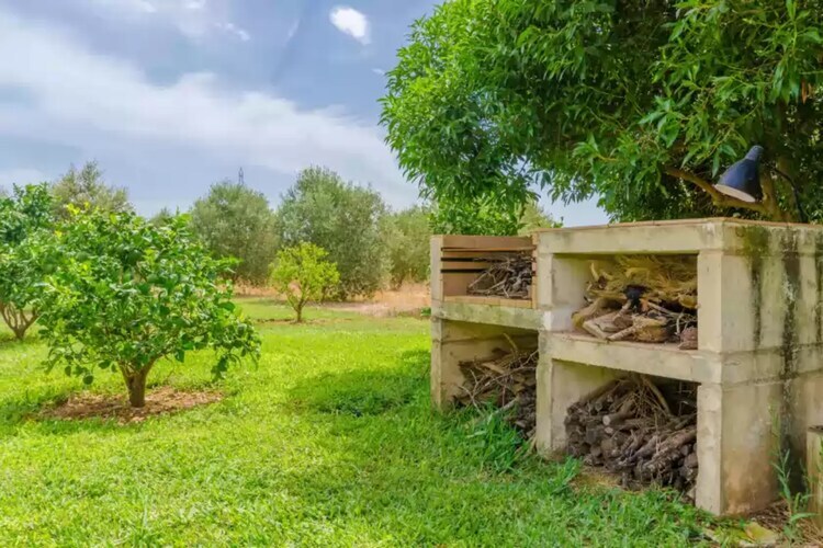 Villa Son Sabater : piscine et jardin à Sa Pobla - Photo 28