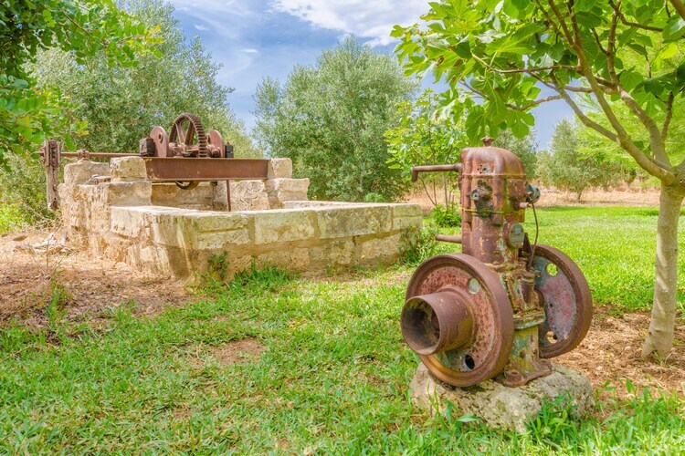 Villa Son Sabater : piscine et jardin à Sa Pobla - Photo 29
