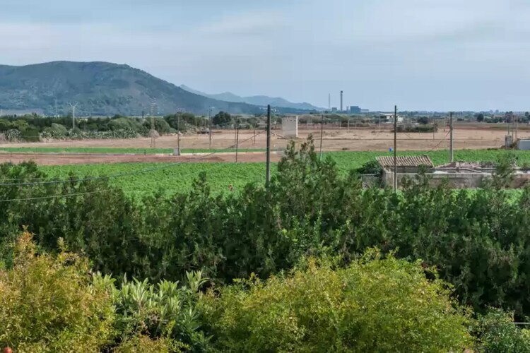 Villa Son Sabater : piscine et jardin à Sa Pobla - Photo 31