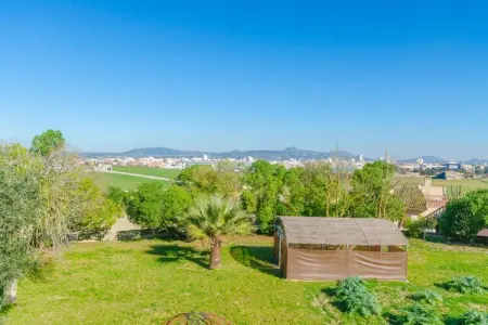 Villa Na Molla à Manacor : piscine et finca 8 personnes : photo 31
