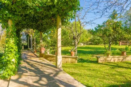 Villa Na Molla à Manacor : piscine et finca 8 personnes : photo 32