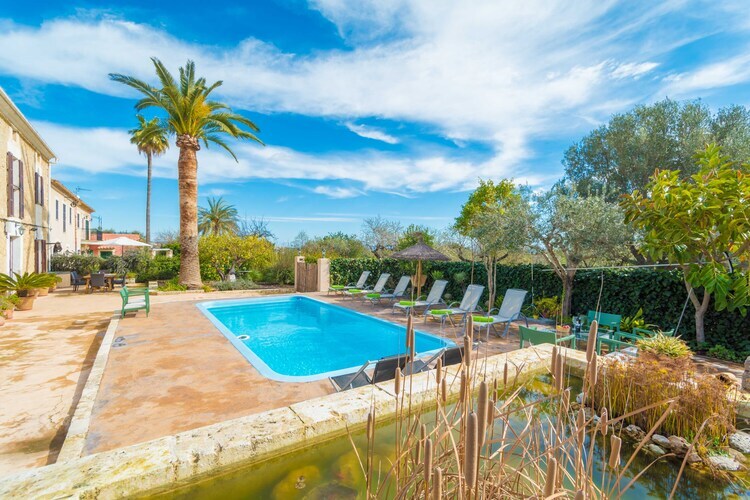 Villa Can Salvador – Piscine à Moscari - Photo 6