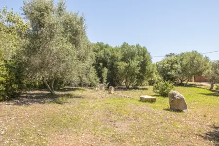 Villa Finca Sa Plana avec piscine chauffée à Son Servera : photo 47