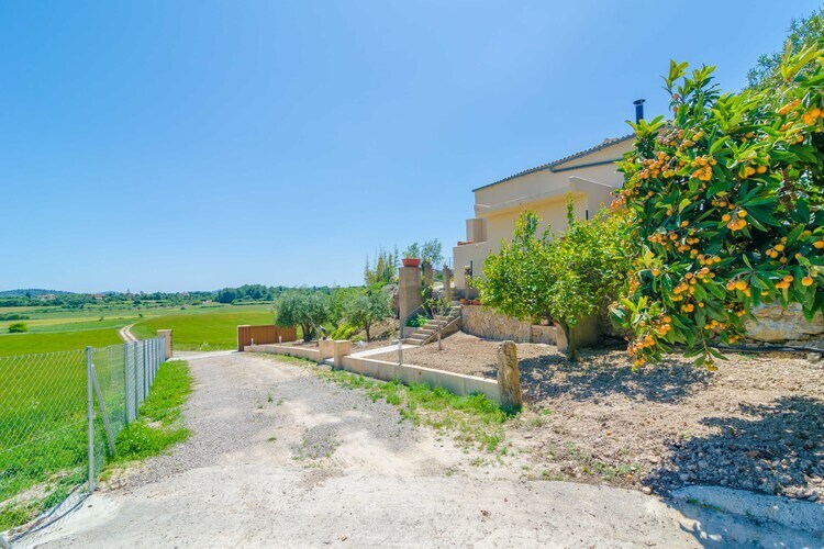 Villa Es Pont Den Teulari Nou, piscine surplombante à Manacor - Photo 34
