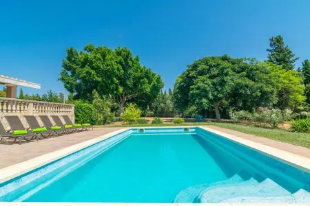 Villa Son Pax Petit - Piscine d'eau salée à Palma : photo 6