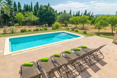 Villa Son Pax Petit - Piscine d'eau salée à Palma : photo 8