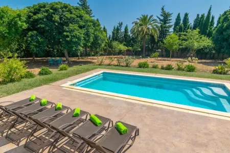 Villa Son Pax Petit - Piscine d'eau salée à Palma : photo 34