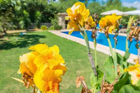 Casa Alba – Villa 6 pers. avec piscine à Manacor : photo 35